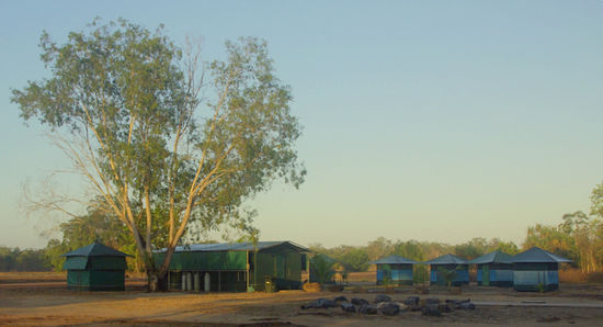 ...Camp Ground am Morgen. Habe selten so gut geschlafen...