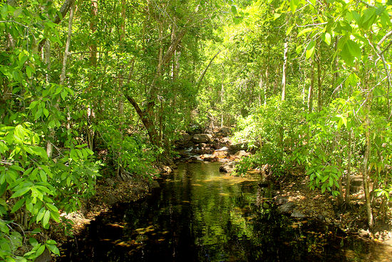 ...so grün das einem die Augen weh tun...