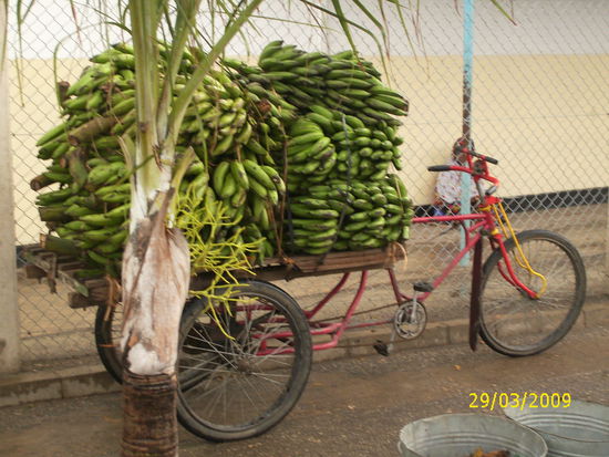 es ist unglaublich, welche Mengen die Menschen hier auf dem fahrrad bzw auf dem Rücken transportieren. Einmal sah ich einen Mann, der eine komplette Sitzbank auf dem Fahrrad schleppte.