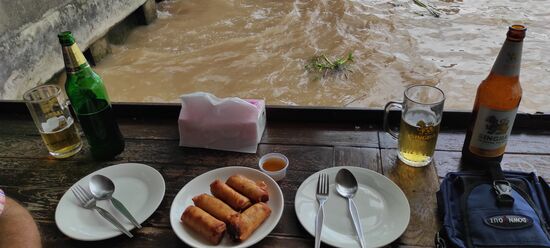 Spring Rolls gehen immer als Snack