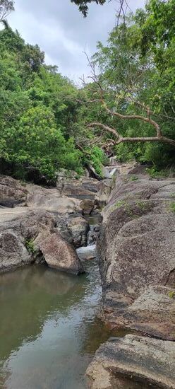 Der nächste war dann doch etwas schöner