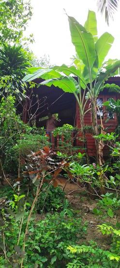 Schön in die Natur eingebettet