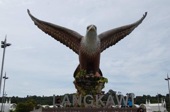 zwischen dem w und dem i stehen leute in blauen t-shirts, somit könnt ihr die Größe des Seeadlers ausmachen