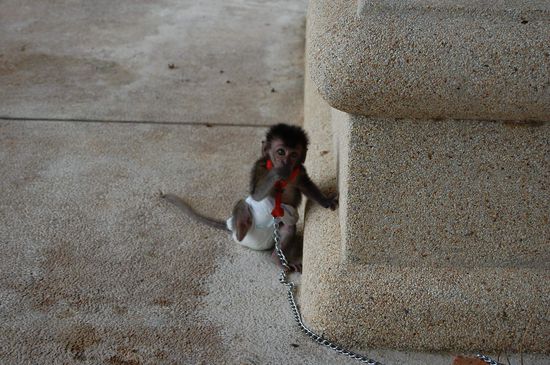 er hatte furchtbare Angst vor uns