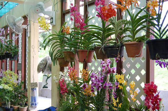 Diese gab es leider nur zu kaufen