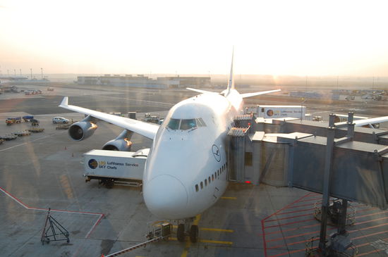 Dieses Flugzeug hat uns wieder sicher nach Frankfurt gebracht.