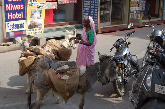 Eine interessante Sache Hier werden, wenn alte Mauern abgerissen werden, die Steine wieder auseinander gehauen und die Esel transportieren diese weg. Immer sind da nur Frauen dabei, die die schweren Steine schleppen.