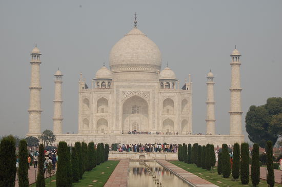 Der Anblick erzeugt Gänsehaut 