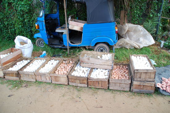In Deutschland schier unmöglich, und hier schmecken die Eier noch