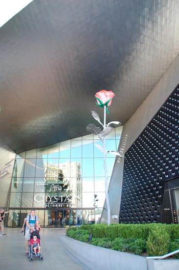 wahrscheinlich die grösste Rose in Las Vegas