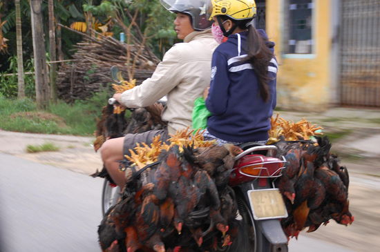 Chicken mit Rice ist gesichert....