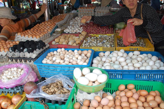 Man beachte die scwarzen Eier, links.