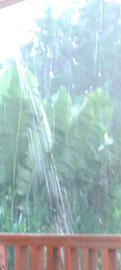 Blick aus dem Zimmer