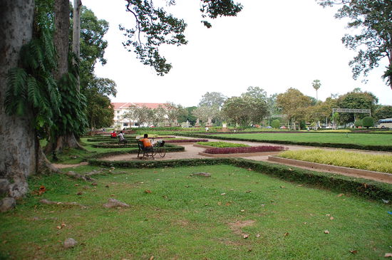 Royal Garden