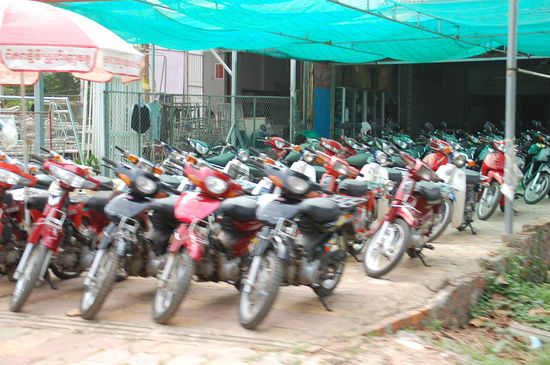 Wolle Roller kaufen?