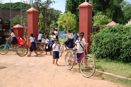 Die Grossen kümmern sich liebevoll um die Kleinen