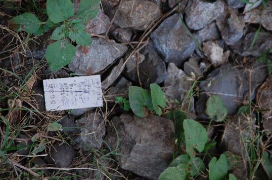 Die Fahrkarten hier sehen tatsächlich den Fahrkarten von uns in den 70und 80er Jahren sehr ähnlich 