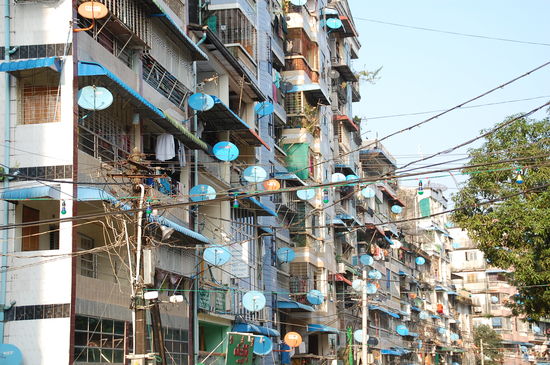 warum die alle blaue Schüsseln haben, wissen wir nicht