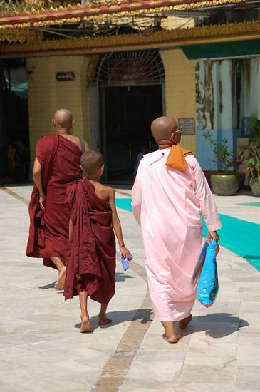 Übrigens, die Männer tragen die weinroten und die Frauen die hellrosa Gewänder (da sie ja alle Glatzen tragen, kann man es manchmal sonst gar nicht unterscheiden)