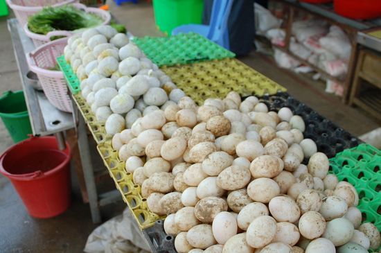 vorne Enteneier, hinten diese komischen "Geleier"