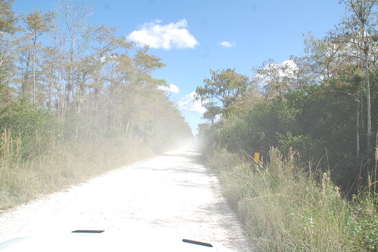 Hat schon ganz schön gestaubt....