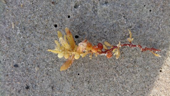 Was ist das?