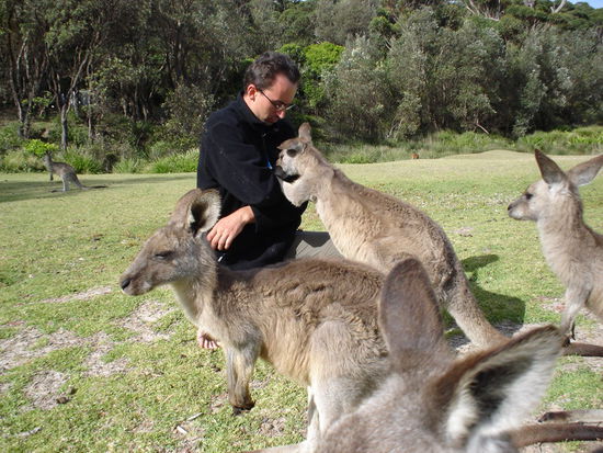 endlich noch mehr Beutel