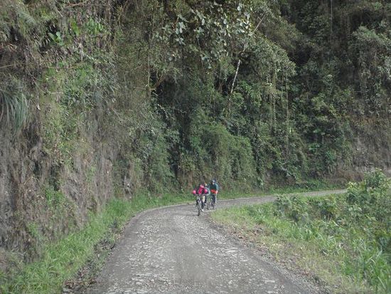 Mountainbiker abwaerts