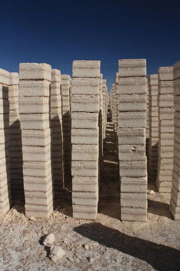 Sie stehen wie die Salzsaeulen