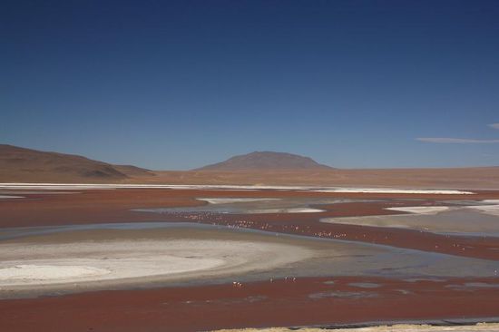 Laguna Colorada