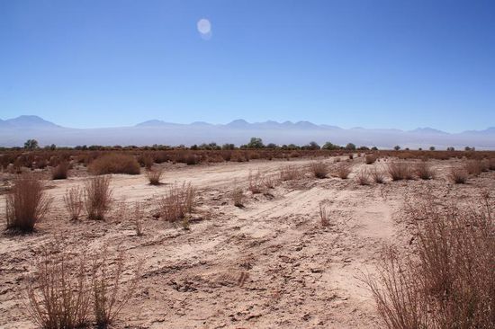 Der Weg ist wiedermal das Ziel