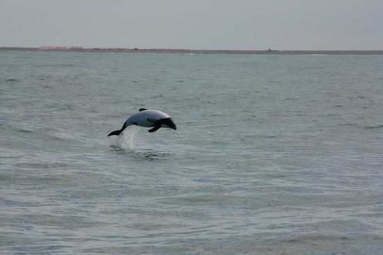 lustige Wasserspiele