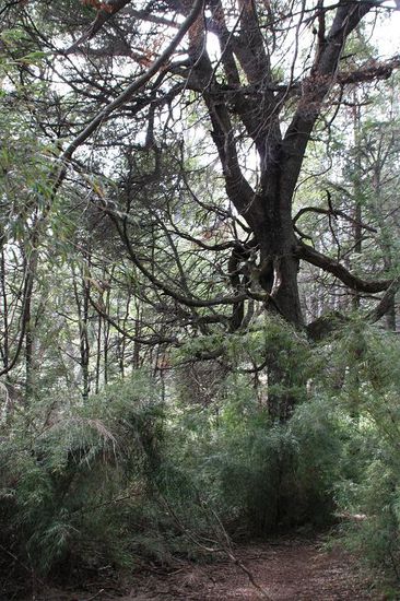 Wanderung im Naturpark