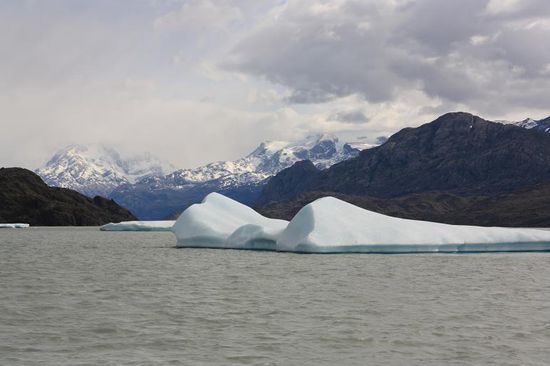 Eisberge vor dem Zugang zum Upsala Gletscher