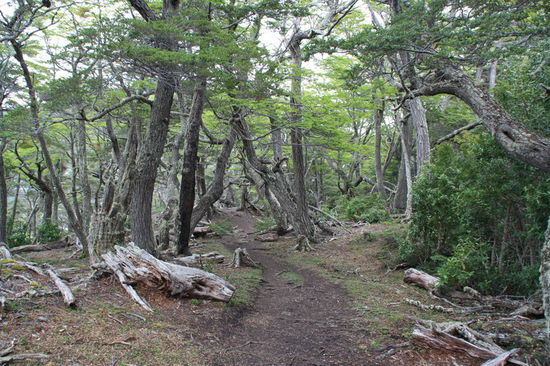 Nationalpark Tierra del Fuego
