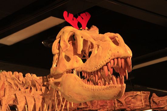 Mit dem schönsten Lächeln in das nächste Jahr