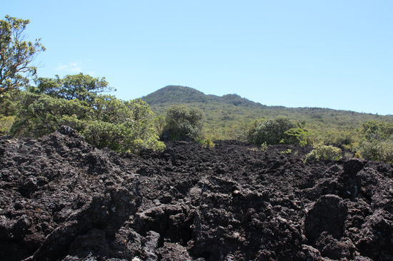 Lavastrom mit Blick auf den Vulkankegel (Rangitoto)