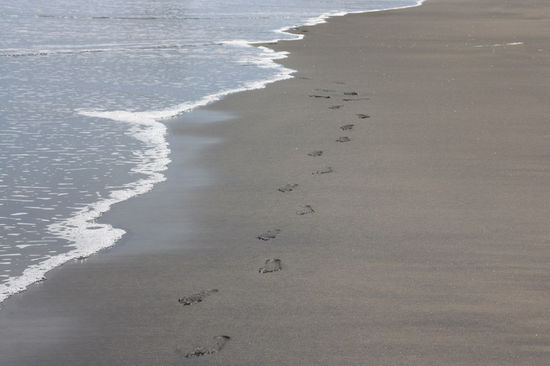 meine Spuren im Sand