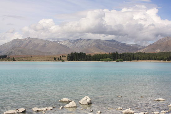 Tekapo See