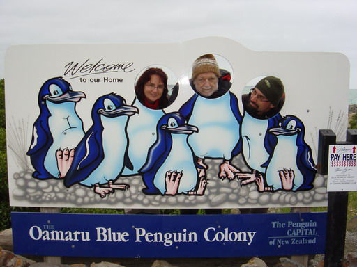 kleine blaue Pinguine