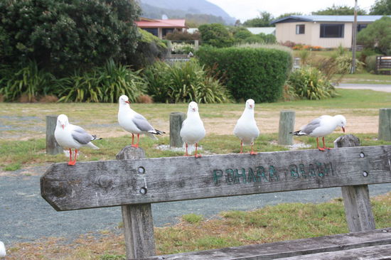 Meins, meins, meins . . .