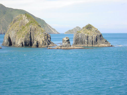 Von Picton nach Wellington