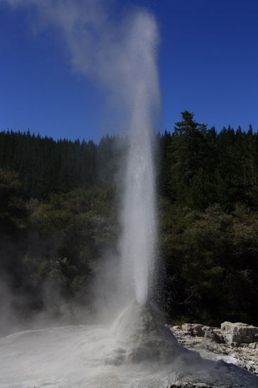 Lady Knox, wenn Sie vor Wut kocht
