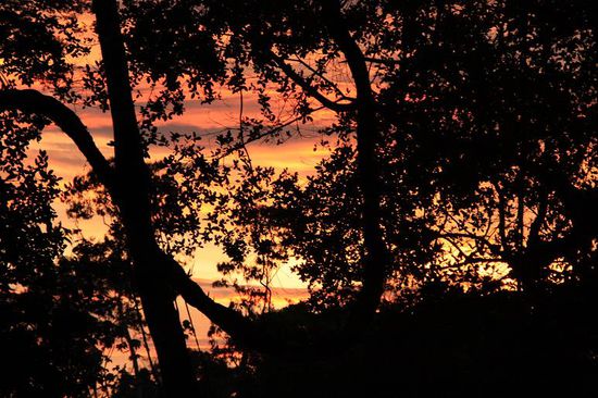 Sonnenuntergang im Dschungel