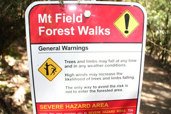 Vorsicht! schlagfertige Bäume