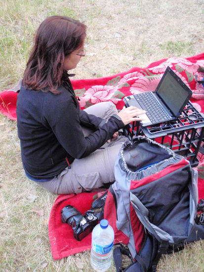 Open Air Office