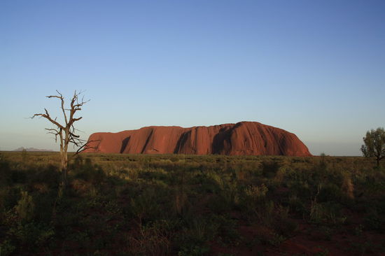 Vom Aussichtspunkt auf den Uluru