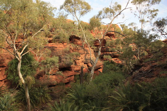 Oase im Kings Canyon