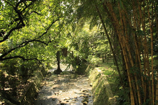Botanischer Garten, Bogor