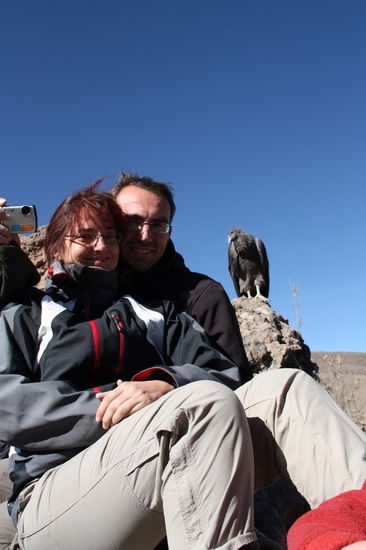 Hast Du einen Vogel?